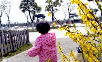 张爱玲-异乡记：未完成的旅途