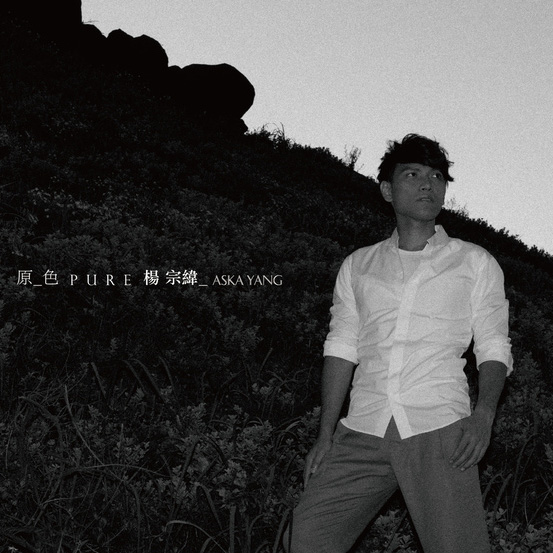 杨宗纬：原色