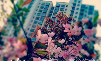来自我心：我和春天有个约会