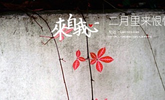 来自我心：二月里来恨情歌