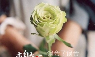 来自我心：误会了误会