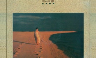 王芷蕾：冷冷的夏