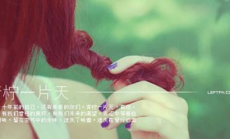 青柠一片天