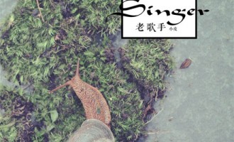 小皮-老歌手：请给我一个名字让我不会忘记昨天的样子