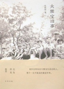 张郞郞：大雅宝旧事