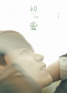 杨宗纬：初爱