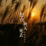 好妹妹乐队：愿在秋天死去