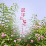 好妹妹乐队：那年的愿望