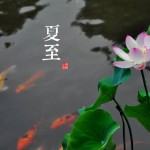 夏至