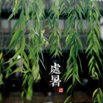 处暑