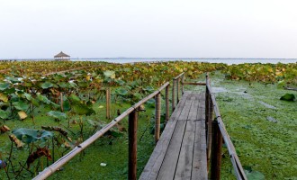 莲花岛：浮生半日