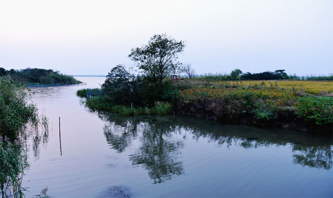 莲花岛