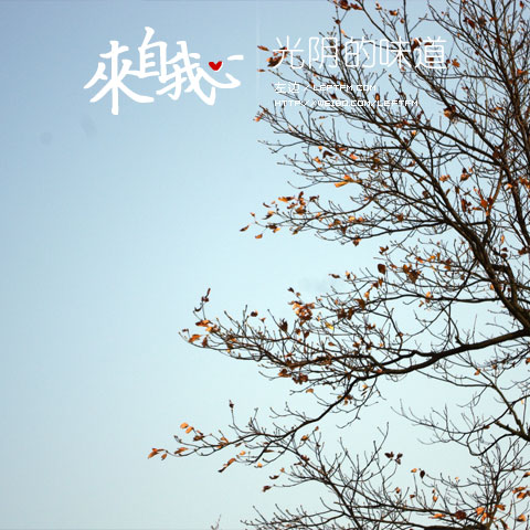 来自我心：光阴的味道