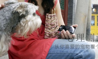 心理测试：从你喜爱的宠物看个性
