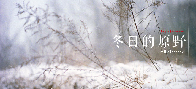 冬日的原野