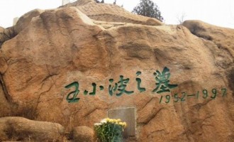 王小波：致以私人的怀念