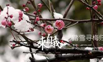 来自我心：踏雪寻梅归乡人