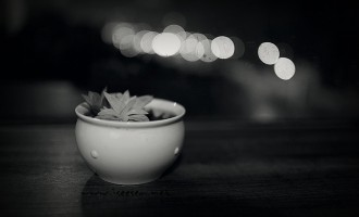 真实与虚幻