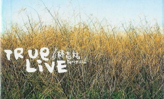 回味唱片：Ture Live（林志炫）