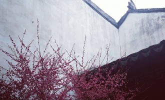 人随春色访古宅