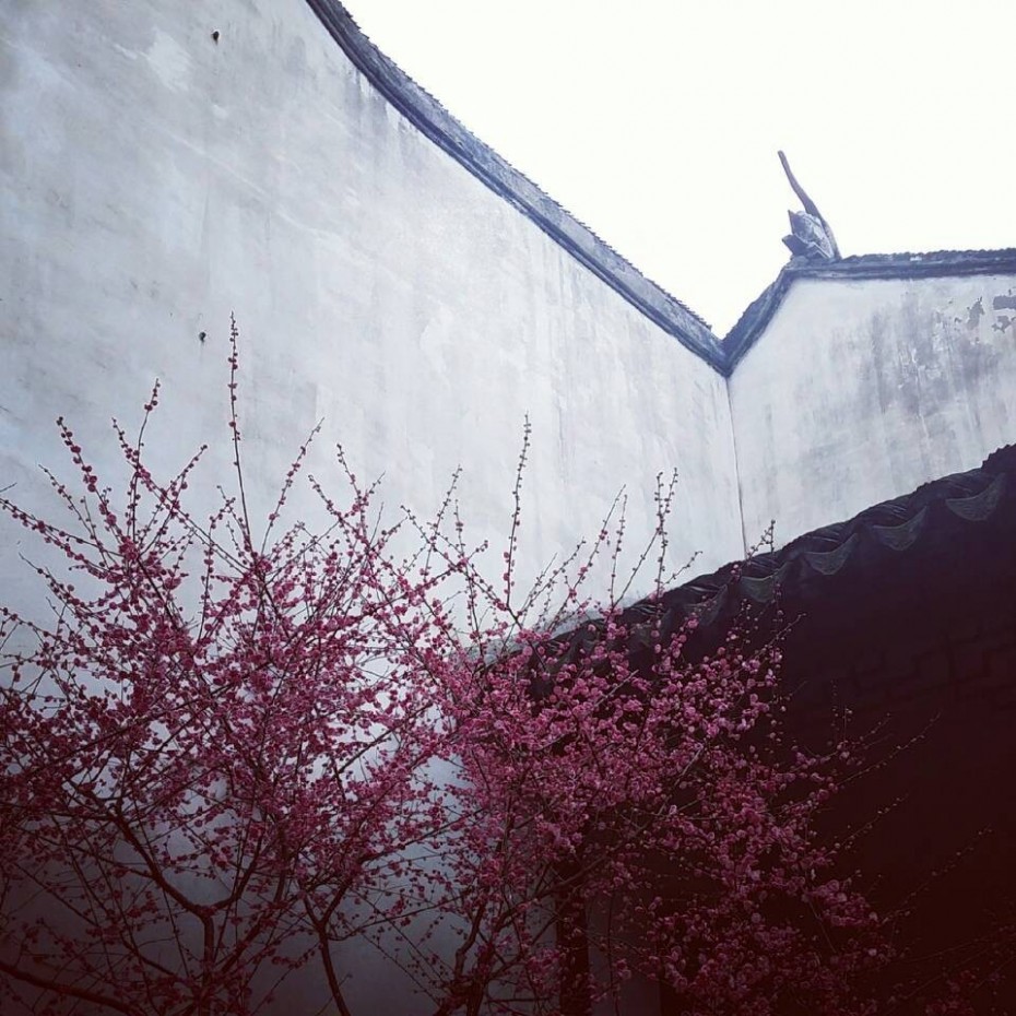 人随春色访古宅
