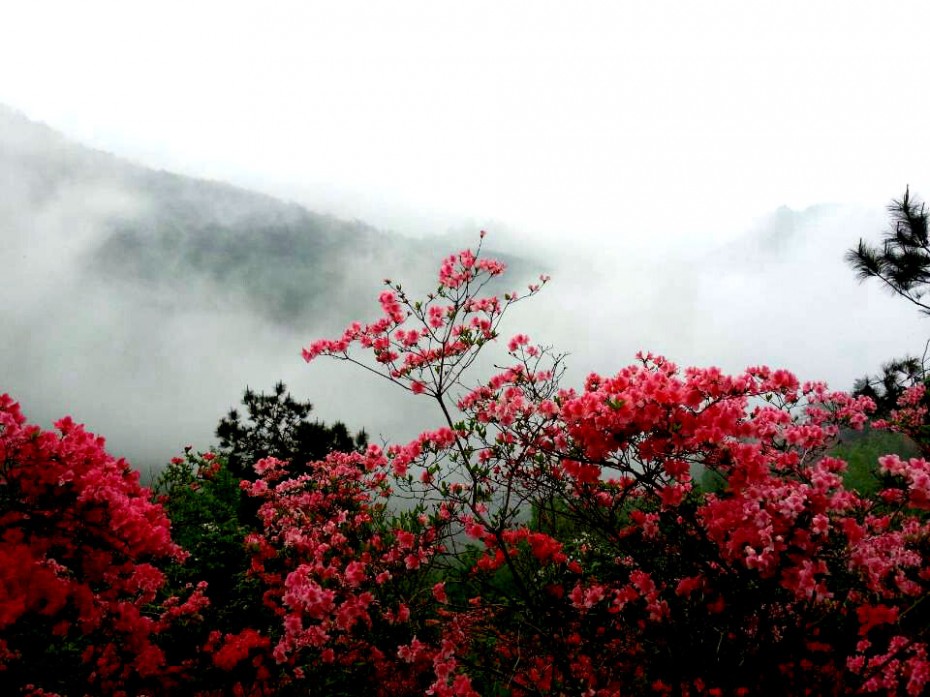 富阳大坞村