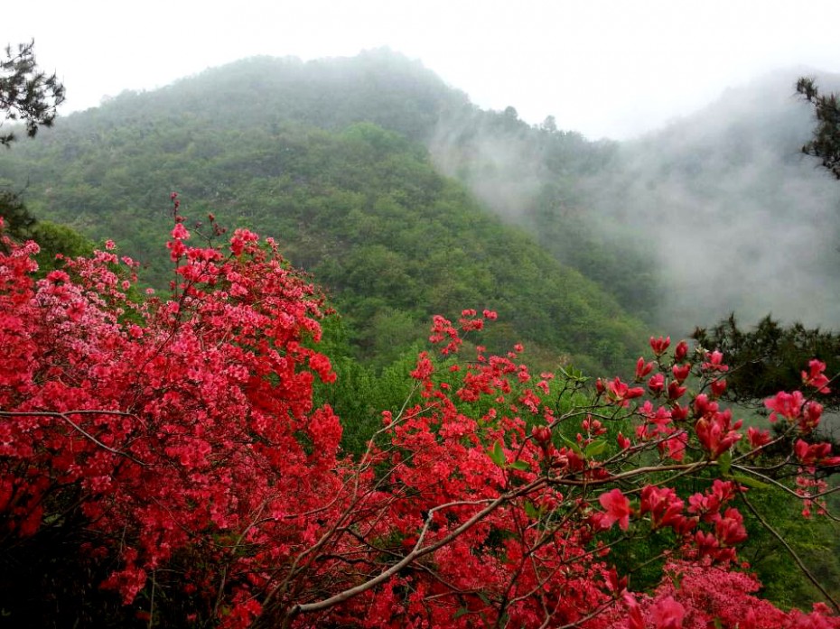 富阳大坞村