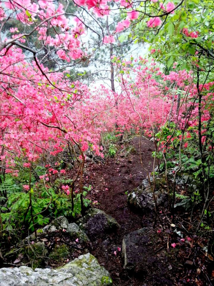 富阳大坞村