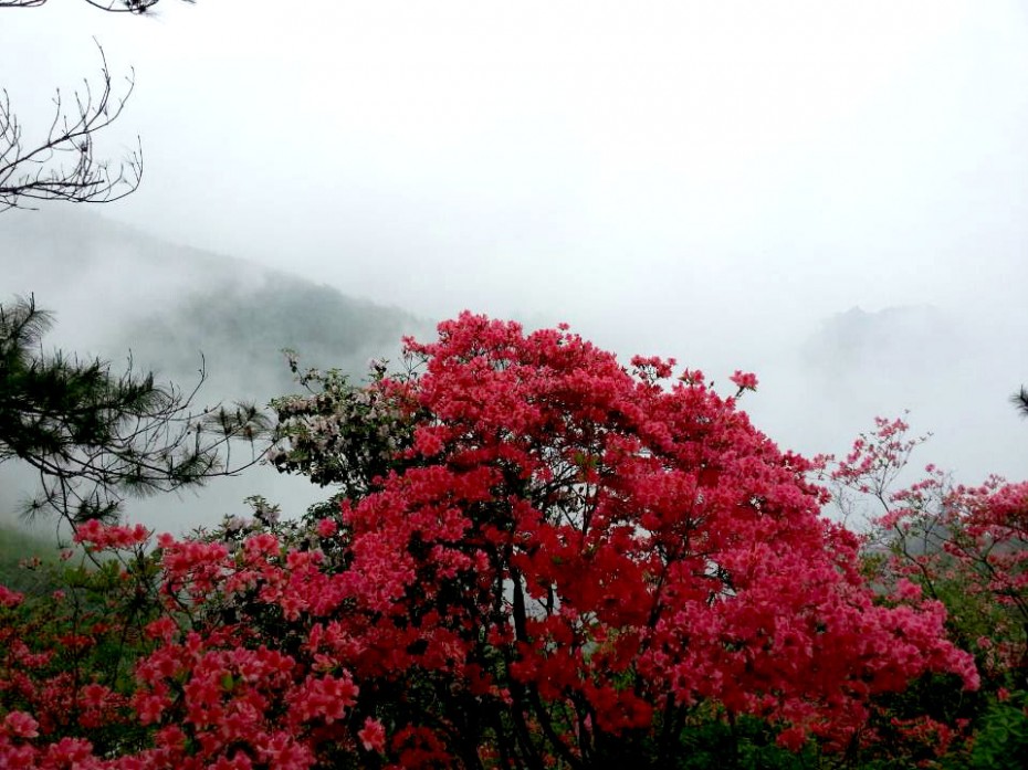 富阳大坞村