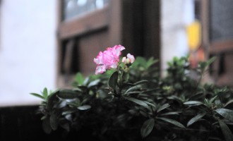 绍兴：静静的旧时光