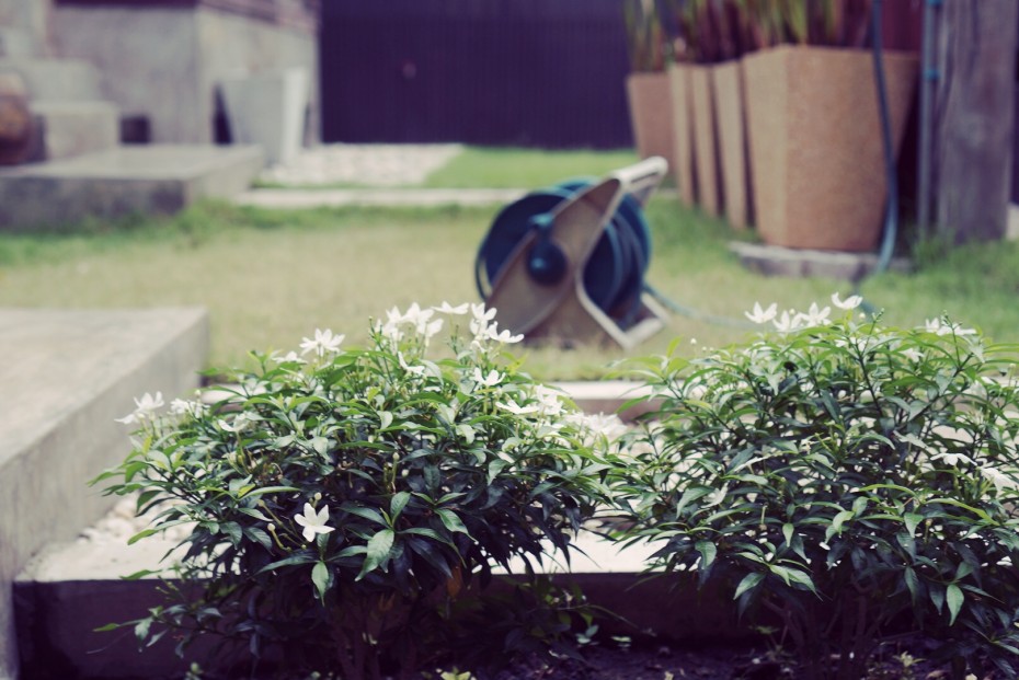 清迈座家小院