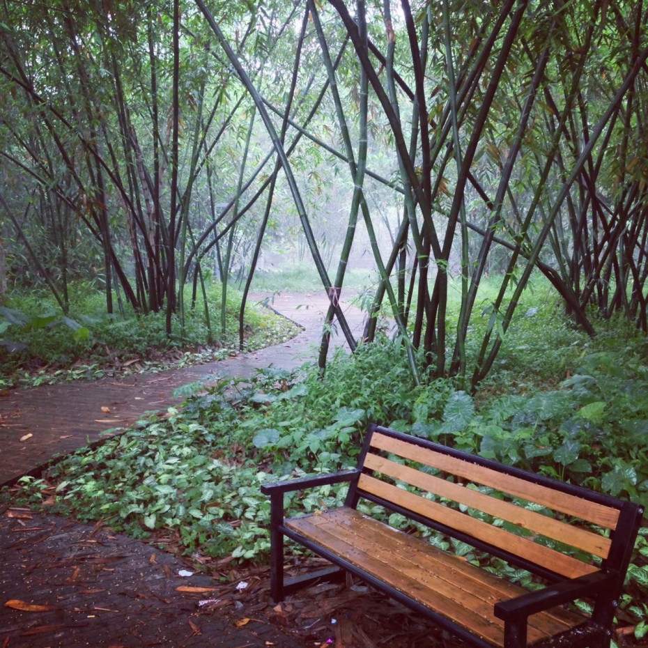 我爱漳洲的夏天