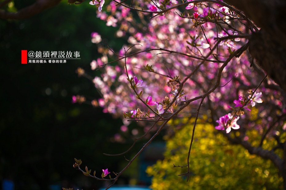 金门：和风吹皱海峡波