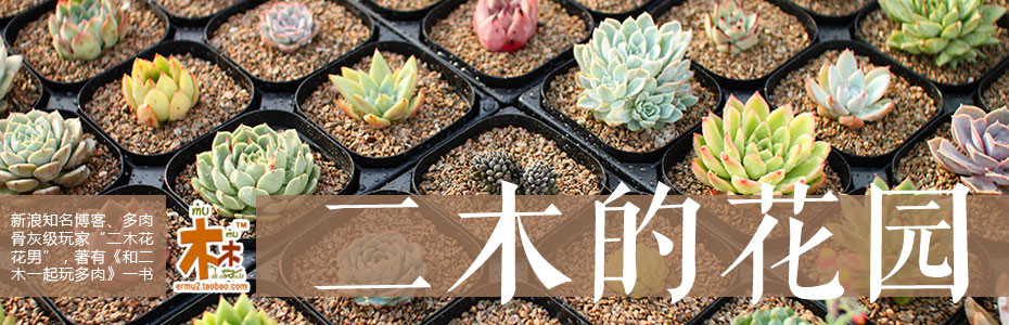 二木的花园