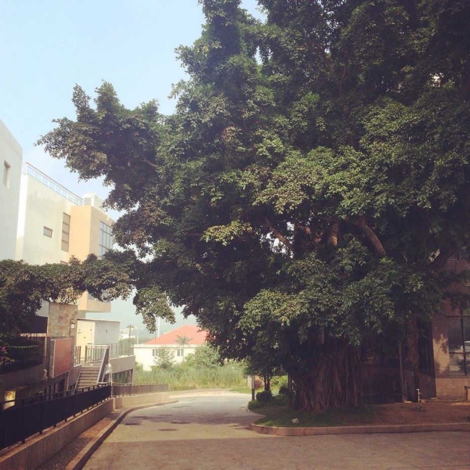 夏の门：穿过秘境去海边