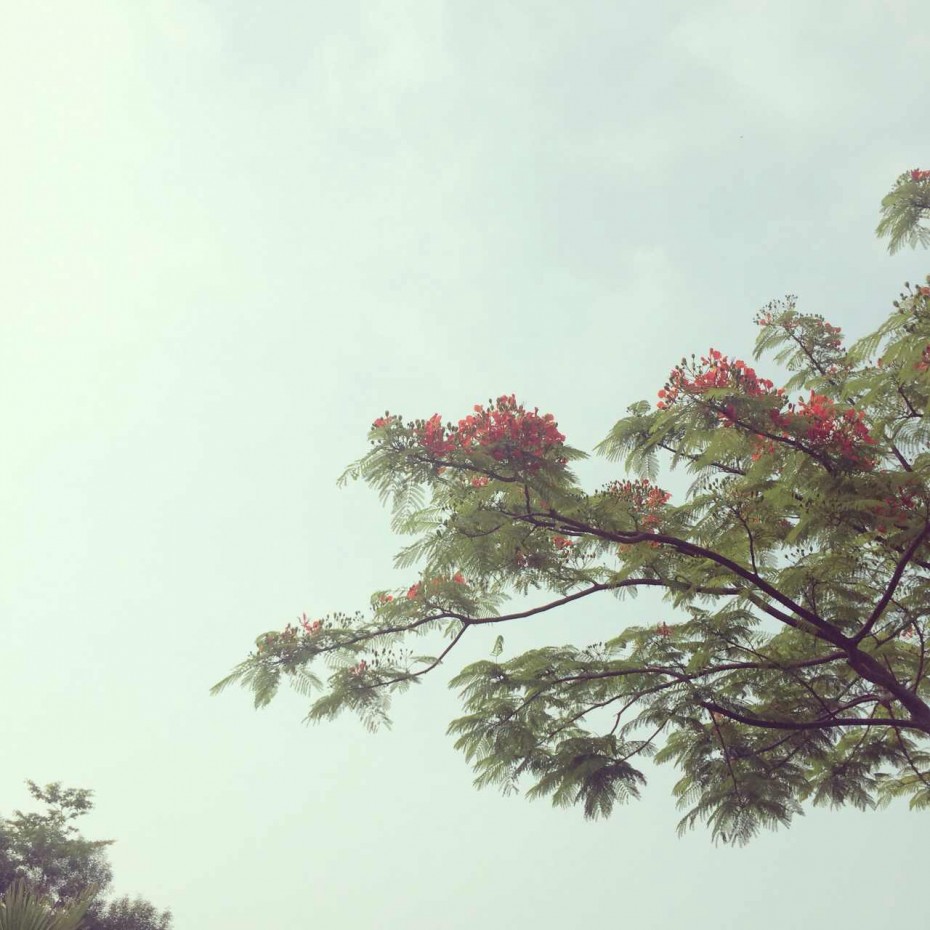夏の门：穿过秘境去海边
