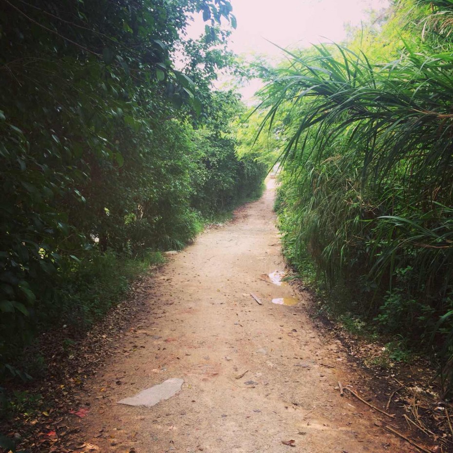 夏の门：穿过秘境去海边