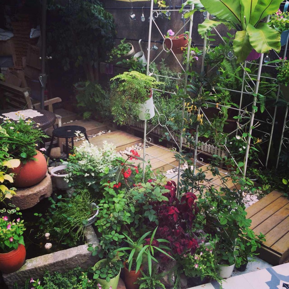 夏の门：一花一叶一深味