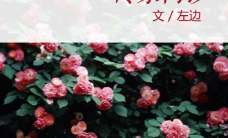 频道纪事：情流感砖家门诊获百度阅读首页推荐