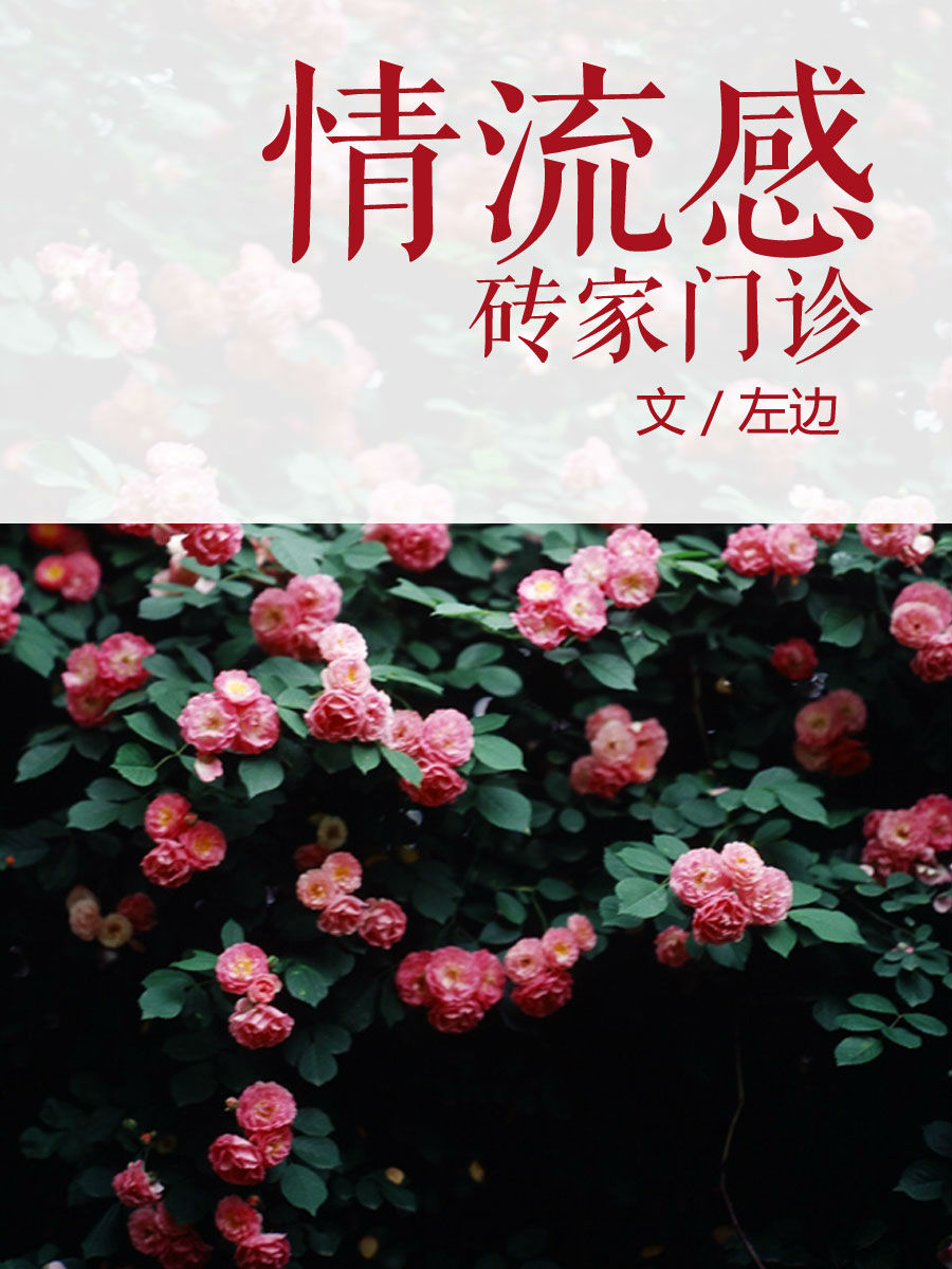 情流感砖家门诊