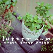 第20期：静静的旧时光