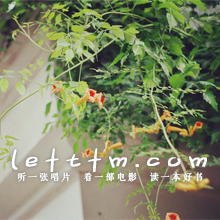 第37期：赤橙花潮