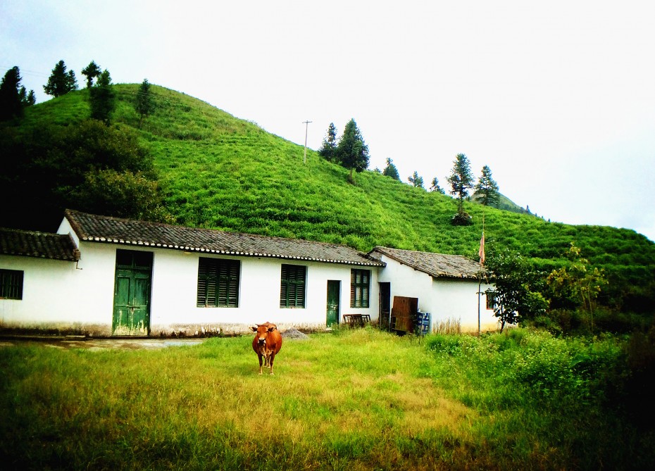 20山中小屋