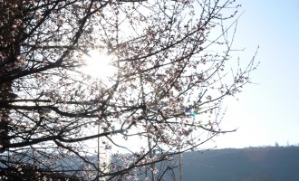 西藏：神圣的抵达