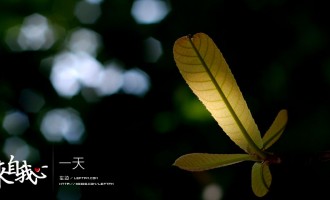 来自我心：一天