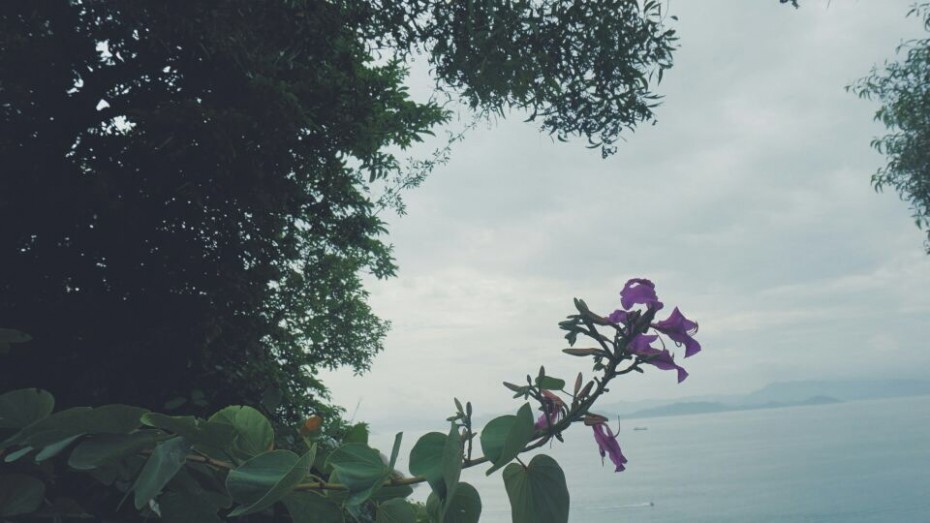 怀念夏天的海