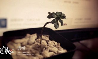 来自我心：遗憾