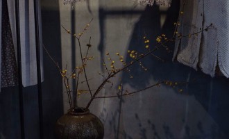静物之美