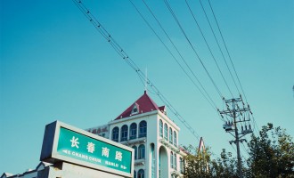 长春路：梧叶纷飞又一秋