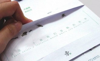 虫子旁：微观世界的理想人生